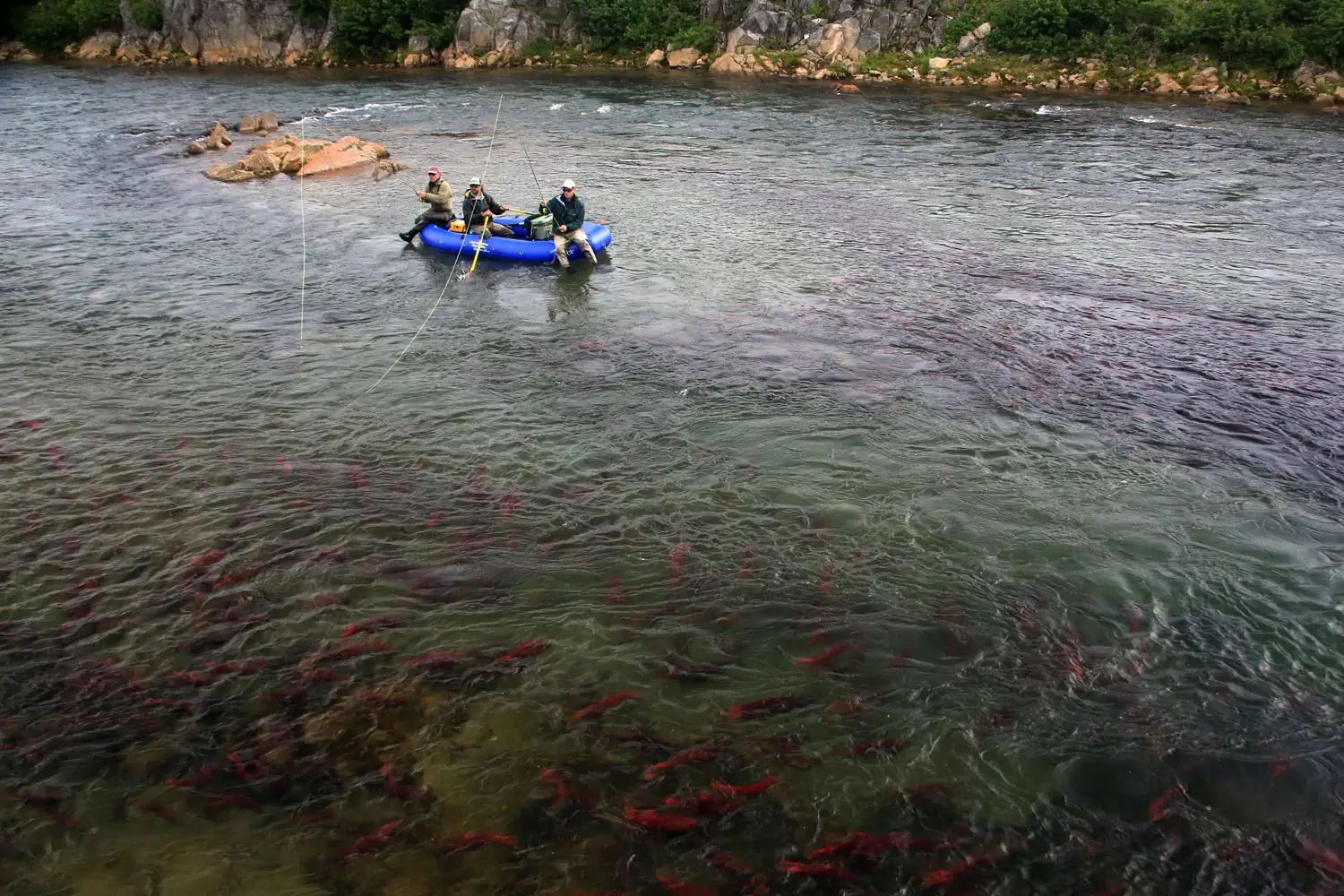 Two anglers fishing in river - Intricate Bay Lodge